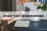 勇往直前广东麻将（勇往直前粤语在线播放）