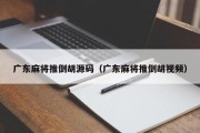 广东麻将推倒胡源码（广东麻将推倒胡视频）