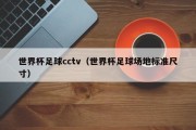 世界杯足球cctv（世界杯足球场地标准尺寸）