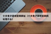 十大电子游戏官网网址（十大电子游戏官网网址是什么）