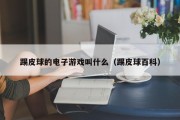 踢皮球的电子游戏叫什么（踢皮球百科）