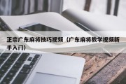 正宗广东麻将技巧视频（广东麻将教学视频新手入门）