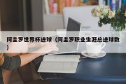 阿圭罗世界杯进球（阿圭罗职业生涯总进球数）