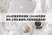 2014巴西世界杯球场（2014年巴西世界杯,小到比赛用球,大到场馆能源设备）