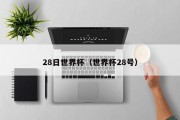 28日世界杯（世界杯28号）