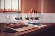 乌篮球（乌篮球的图片）