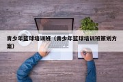 青少年篮球培训班（青少年篮球培训班策划方案）